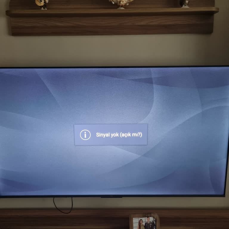 TCL Televizyon Sinyal Yok Hatası Alıyorum