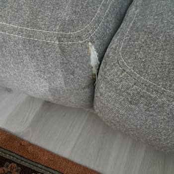 Kelebek Mobilya Lionte Koltuk Takımında Ciddi Problemler Yaşıyorum
