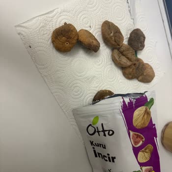 Otto Kuru İncirde Böcek Ve Kurt Varlığı Sağlık Tehlikesi