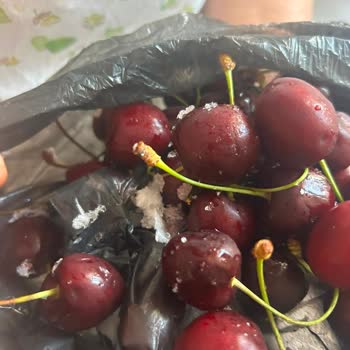 Sebzelik Bölümünde Meyve Ve Sebzeler Donuyor, İade Talep Ediyorum
