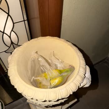Raf Ömrü Geçmiş Meyveler Gönderildi, İade Talebi Geri Dönüşsüz