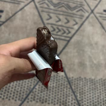 Torku Çıtır Gofret’te Çikolata Parçasının Eksik Olması Ve Hijyen Endişesi
