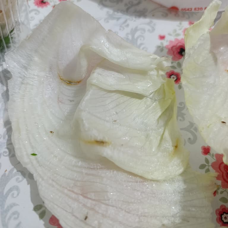 Marullarda Ölü Ve Canlı Böcek Tespiti
