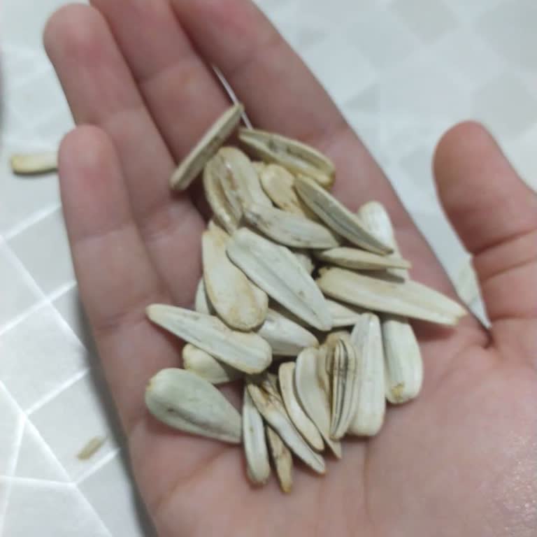 Paket Görseliyle Uyuşmayan Çekirdekler Nedeniyle Özür Ve Telafi Talebi