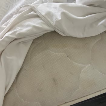 Küflü Oda Ve Kirli Yemekler Otelde Misafir Sağlığını Tehdit Ediyor