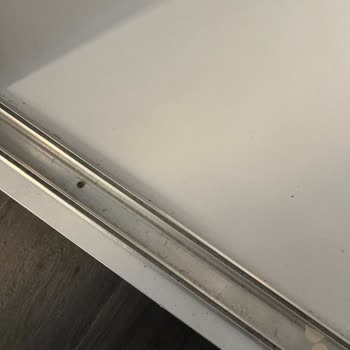Küflü Oda Ve Kirli Yemekler Otelde Misafir Sağlığını Tehdit Ediyor