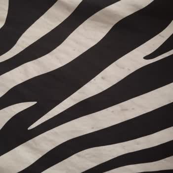 Armine Zebra Desenli İpek Eşarbın Boya Vermesi Ve Değişim Talebi