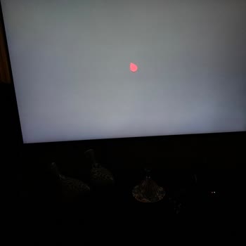 Kadıköy Göztepe’de 5 Gün Süren İnternet Ve TV Kesintisi: Superonline’a Acil Çözüm Talebi