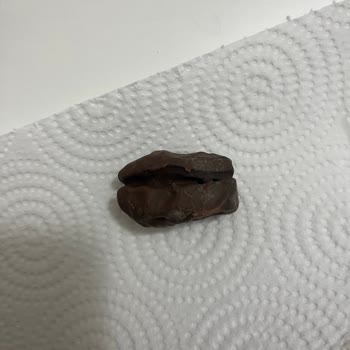 Ürünümde Saç Teli Buldum: Tatlıbak Hijyen İhlali