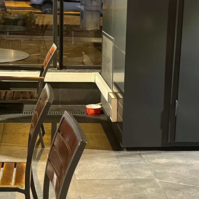 McDonald’s Şubesinde Kedinin İçtiği Klima Suyu Hijyen Sorunu
