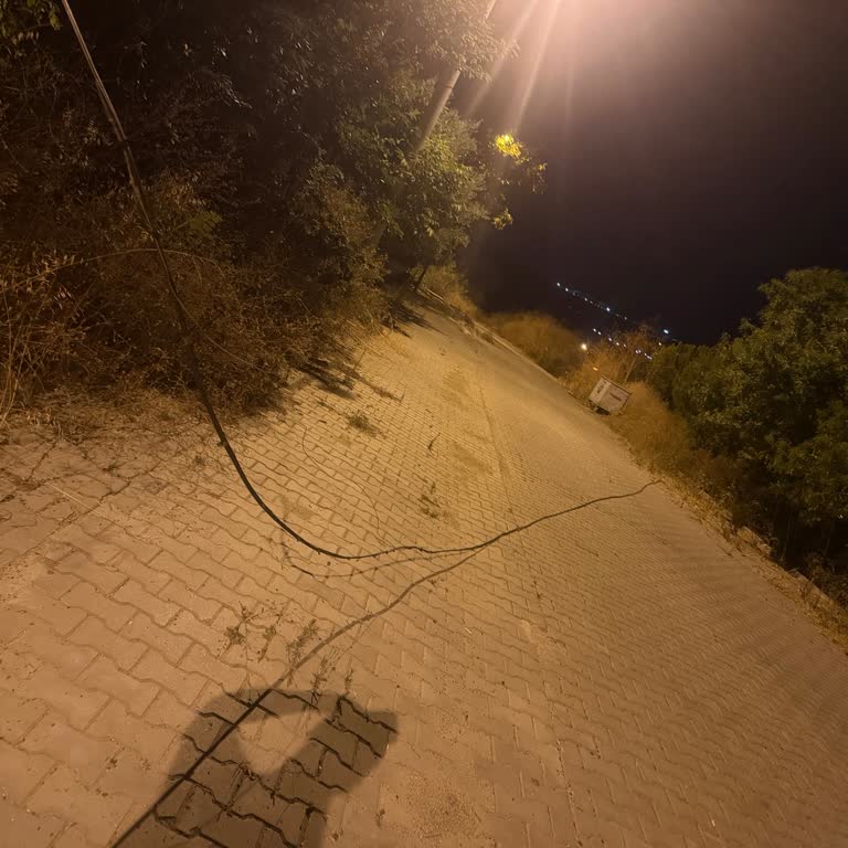 Yan Yatmış Telefon Direği Ve Kablo Sorunu Çözülmedi