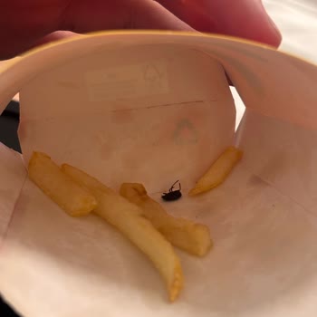 Antalya McDonald’s Şirinyalı Şubesinde Patates Kızartmasında Ölü Böcek Bulundu