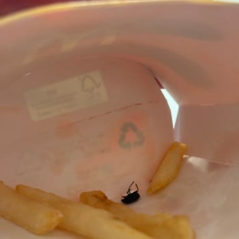 Antalya McDonald’s Şirinyalı Şubesinde Patates Kızartmasında Ölü Böcek Bulundu