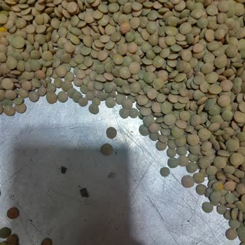 Paketli Mercimekte Taş Ve Böcek Bulunması Gıda Güvenliği İhlali