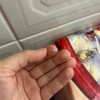 Gedik Çıtır Piliç Fileto’da Plastik Parçalar Bulunması