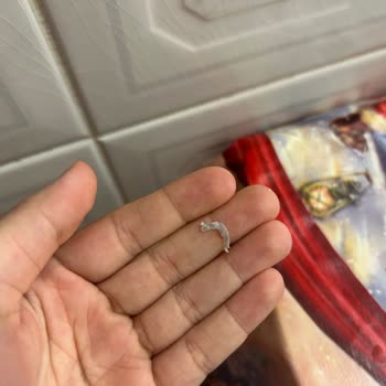 Gedik Çıtır Piliç Fileto’da Plastik Parçalar Bulunması