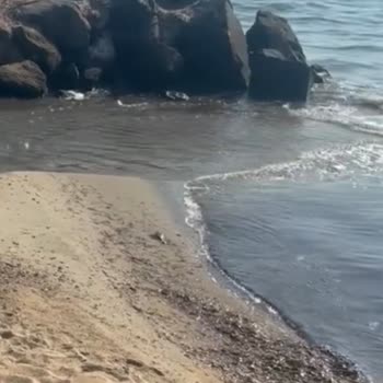 Enez Sahilinde Çöp Birikimi, Kötü Su Ve İlaçlama Eksikliği Sağlığı Tehdit Ediyor