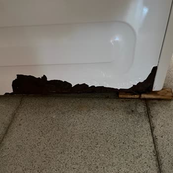 Beko Çamaşır Makinem Alttan Sızdırıyor Ve Paslanıyor, Mağaza Yardımcı Olmadı