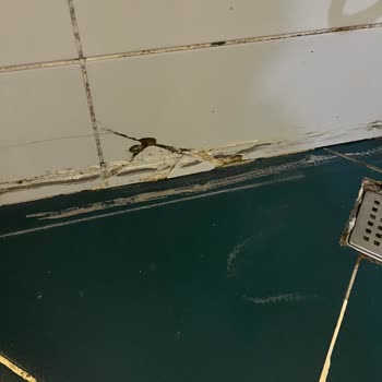 Yanıltıcı Görseller Kirli Oda Ve Özel Plaj Yanıltması Nedeniyle Tam İade Talebi