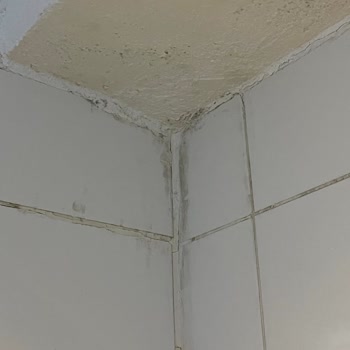 Yanıltıcı Görseller Kirli Oda Ve Özel Plaj Yanıltması Nedeniyle Tam İade Talebi