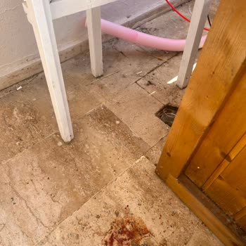 Ladonia Otel'de Hijyen İhlali Ve Tam İade Talebi