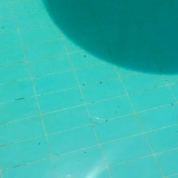 Ladonia Otel'de Hijyen İhlali Ve Tam İade Talebi