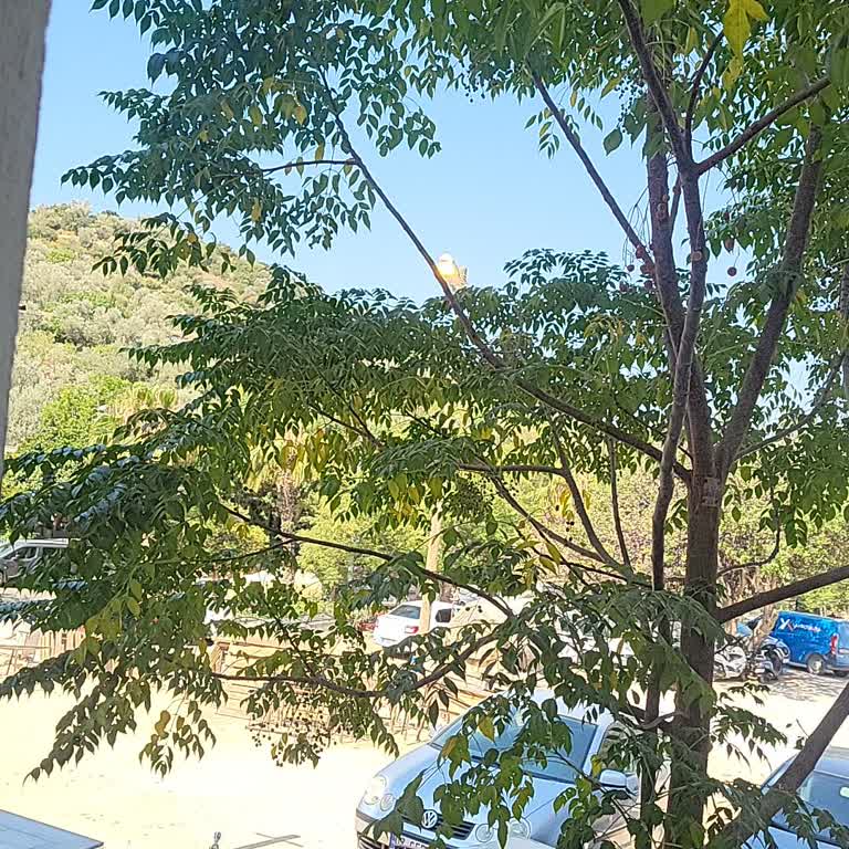 Andifli Mahallesi Sokak Lambaları Gündüz Açık Kaldığı İçin Enerji İsrafı