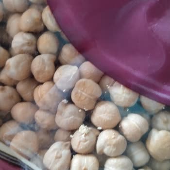 Kapalı Pakette Nohutta Böcek Ve Güve Görüldü Ürün Güvenliği İhlali