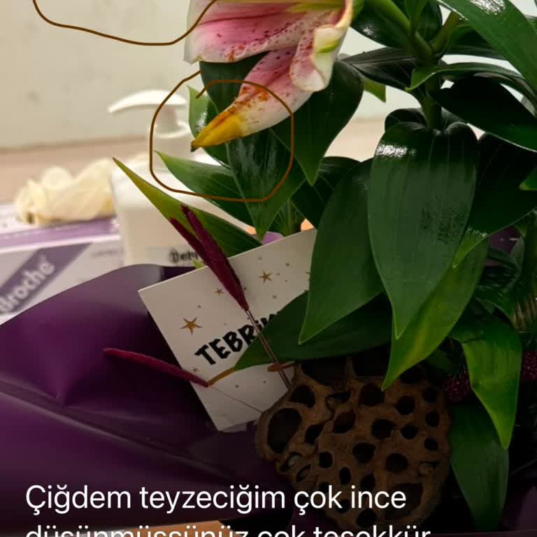 Çiçek Sepeti Onaylamadığım Solmuş Çiçek Gönderildi, Ücret İadesi Talebi