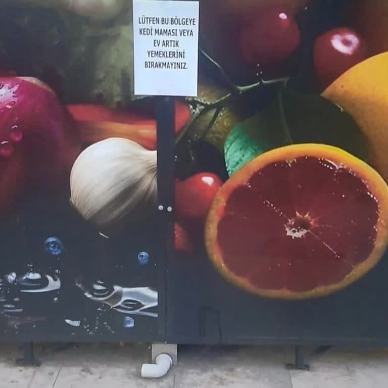 Dmr Gıda Sokak Kedilerine Yasak Koyan Marketin Çelişkili Politikası