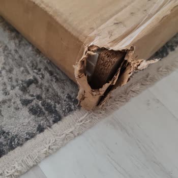 Horoz Lojistik'ten Apartman Kapısına Bırakılan Ve Hasarlı Paket Şikayeti