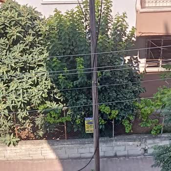 Mahallede Kesik Telefon Kabloları Tüm Telefon Ve İnternet Hizmetini Durdurdu