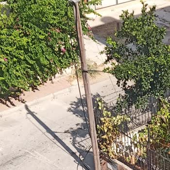 Mahallede Kesik Telefon Kabloları Tüm Telefon Ve İnternet Hizmetini Durdurdu