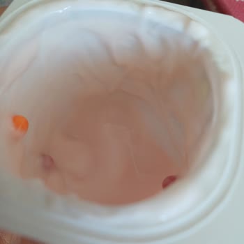 Danone Yoğurdunda Yabancı Madde Ve Çocuk Sağlığı Riski