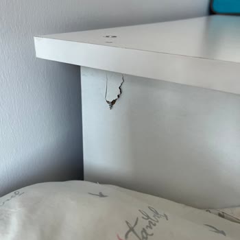 Malatya Güneş Nakliyat Son Derece Yorucu Ve Yıpratıcı Geçti