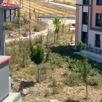 Yüksek Aidatların Temel Hizmet Ve Şeffaflık Eksikliği
