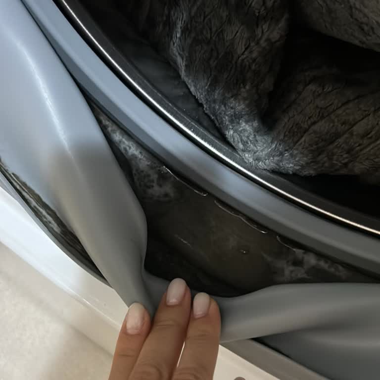 Bosch Küflenen Kapak Lastiği Sorunu Garanti Kapsamında Çözülmedi