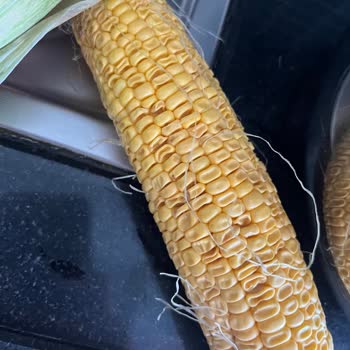 Migros Hemen'den Çürük Mısır Teslimatı Güvenimi Sarsıyor
