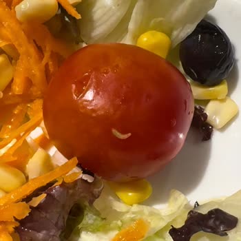 Tavuk Dünyası Salatasında Kurtlar, Sağlık Riski Oluştu