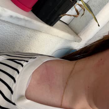 Jaja Cosmetic Şampuanda Sorun Yaşama