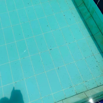 Oteldeki Aşırı Hijyen Sorunları Nedeniyle Erken Ayrılma Ve Tam Ücret İadesi Talebi