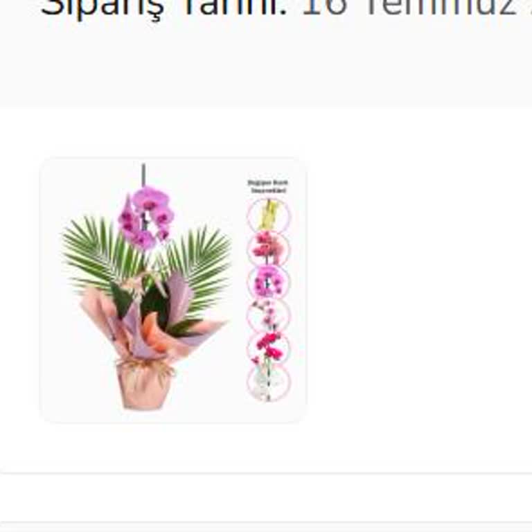 Çiçek Sepeti Görseli Yanıltıcı, Gönderilen Çiçek Sağlıksız Ve Solmuş