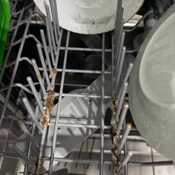 Arçelik 6344 Bulaşık Makinesinde Tel Aksamı Paslanma Ve Erime Sorunu
