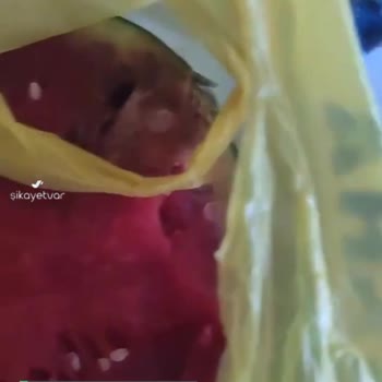 Manisa Akhisar'dan Karpuz Aldı Eşim Az Önce Şok Marketten Çürük Kokuyor!
