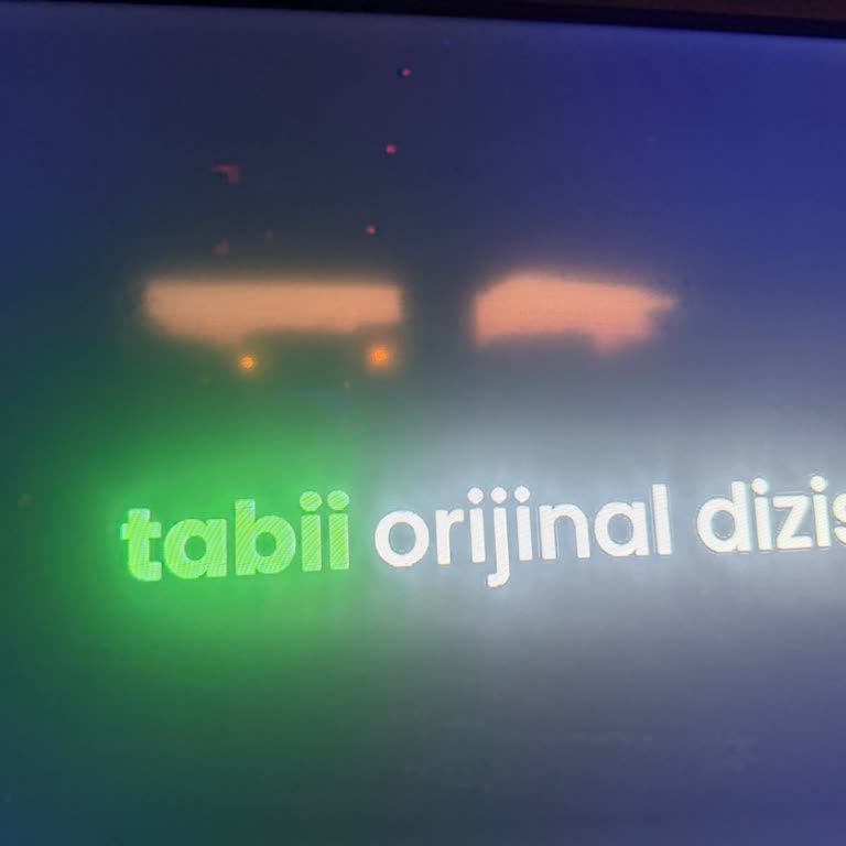 Ölü Piksel Sorunu Ve 36 Gün Süren Servis Gecikmesi Nedeniyle Televizyon Değişimi Talebi