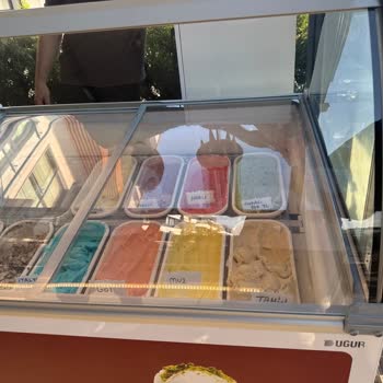 Uğur Marka Reyon Dolabının Dondurmaları Eritmesi Ve Servis Gecikmesi