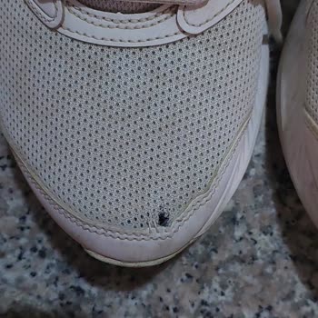 Asics Jolt 4 Ayakkabısında Üretim Hatası Ve İade Talebi