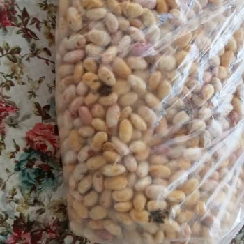 Mimoza Marka 10 Kg Barbunyada Bozuk Ürün Ve Cevapsız İade Talebi