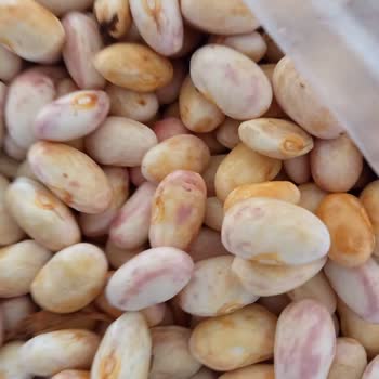 Mimoza Marka 10 Kg Barbunyada Bozuk Ürün Ve Cevapsız İade Talebi