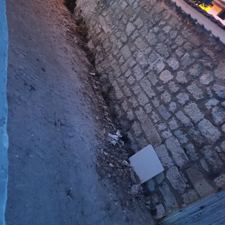 Alaçatı 13052 Sokakta Temizlik Ve Çöp Toplanmaması